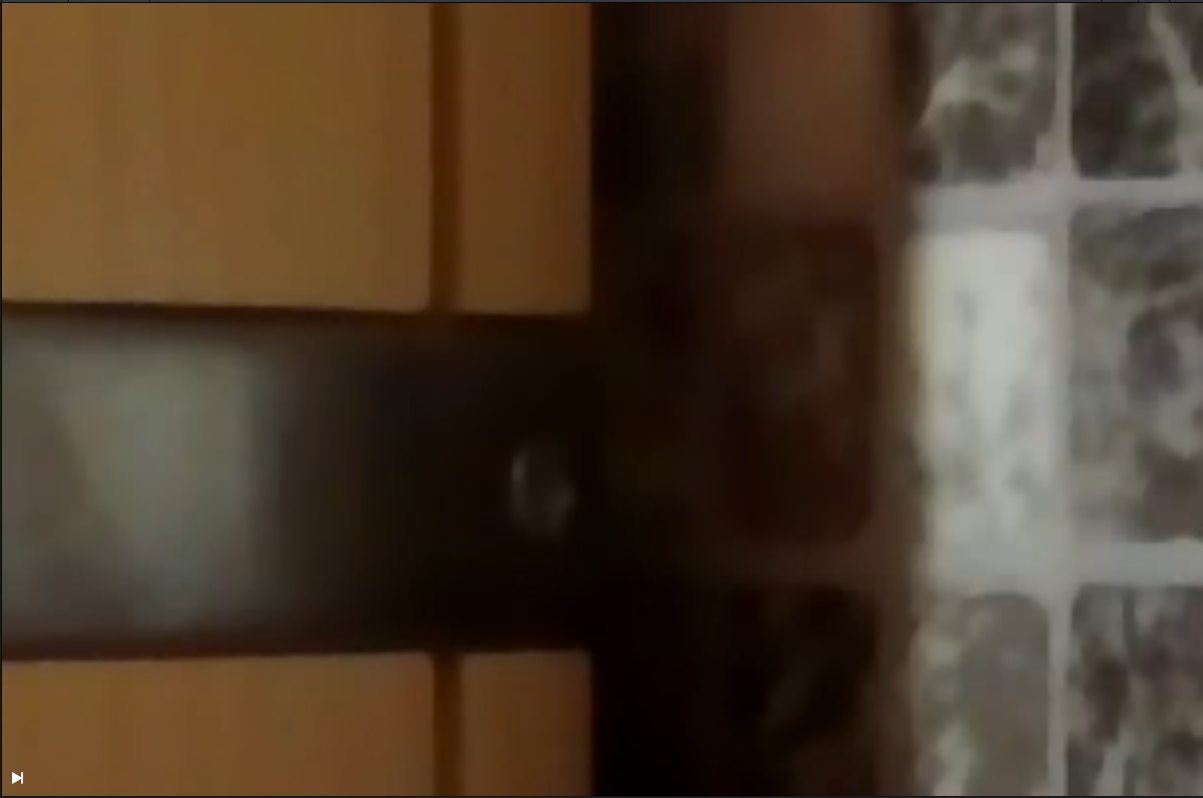 0.2.1 Shadow tinge.PNG
