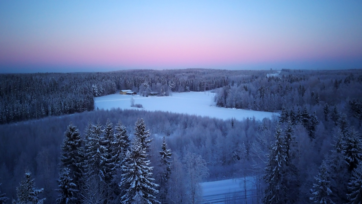 twilight.jpg